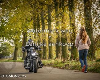 Herfstrit Moerzeke photo