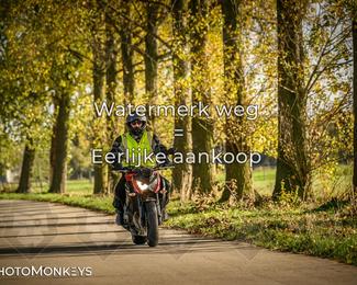 Herfstrit Moerzeke photo