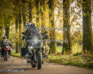 Herfstrit Moerzeke photo