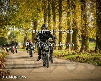 Herfstrit Moerzeke photo