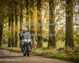 Herfstrit Moerzeke photo