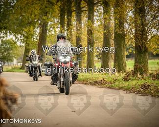 Herfstrit Moerzeke photo