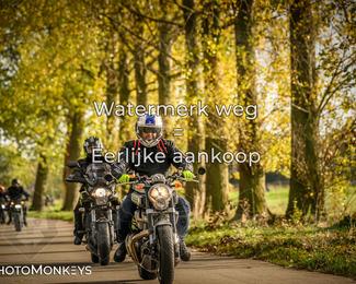 Herfstrit Moerzeke photo