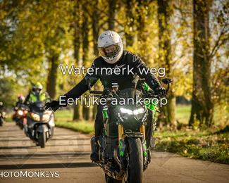 Herfstrit Moerzeke photo