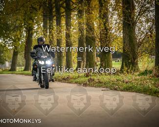 Herfstrit Moerzeke photo