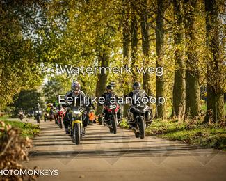 Herfstrit Moerzeke photo