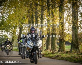 Herfstrit Moerzeke photo