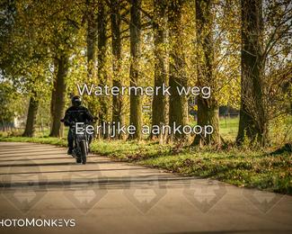 Herfstrit Moerzeke photo