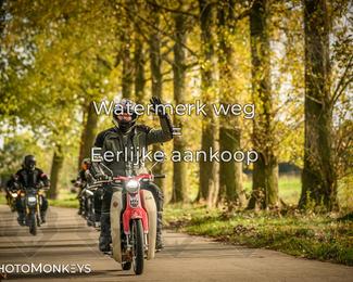 Herfstrit Moerzeke photo