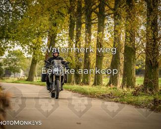 Herfstrit Moerzeke photo