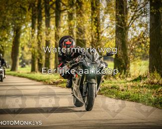 Herfstrit Moerzeke photo