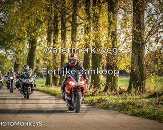 Herfstrit Moerzeke photo