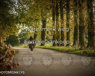 Herfstrit Moerzeke photo