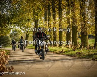 Herfstrit Moerzeke photo