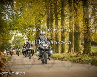 Herfstrit Moerzeke photo