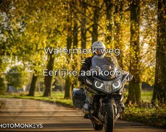 Herfstrit Moerzeke photo