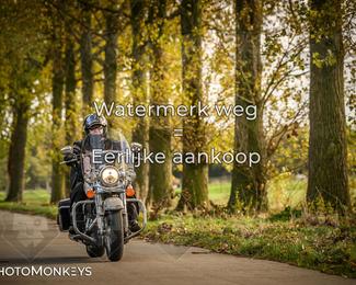 Herfstrit Moerzeke photo