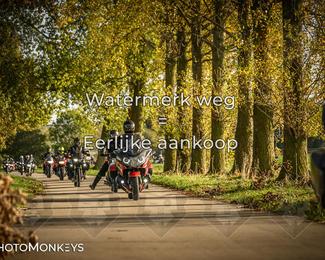 Herfstrit Moerzeke photo