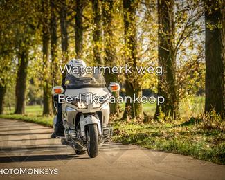 Balade d’automne Moerzeke photo