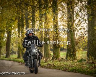 Herfstrit Moerzeke photo