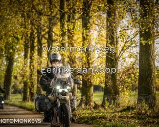 Herfstrit Moerzeke photo