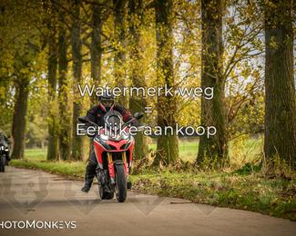 Herfstrit Moerzeke photo