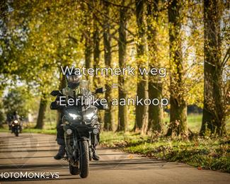 Herfstrit Moerzeke photo