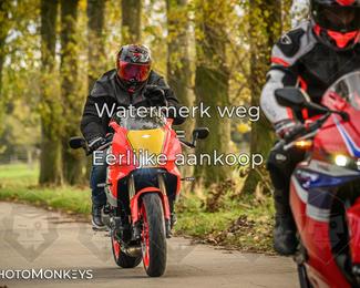 Herfstrit Moerzeke photo