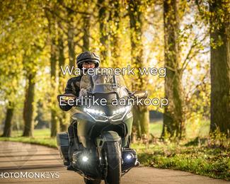 Herfstrit Moerzeke photo