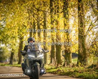 Herfstrit Moerzeke photo