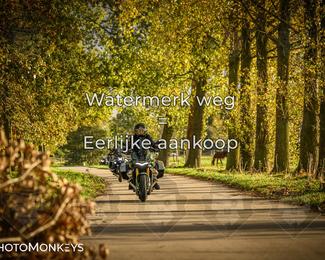 Herfstrit Moerzeke photo