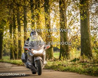 Herfstrit Moerzeke photo