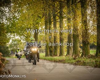 Herfstrit Moerzeke photo