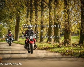 Herfstrit Moerzeke photo