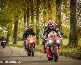 Herfstrit Moerzeke photo