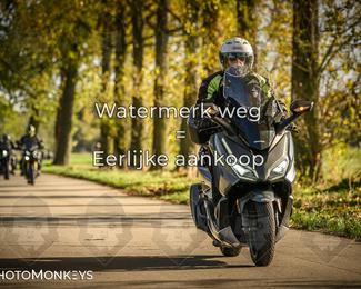 Herfstrit Moerzeke photo