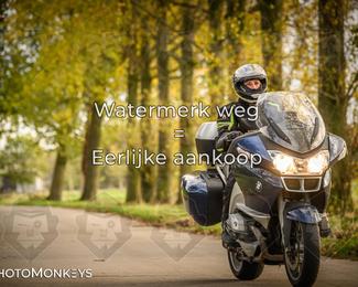 Herfstrit Moerzeke photo