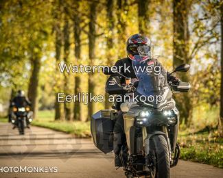 Herfstrit Moerzeke photo