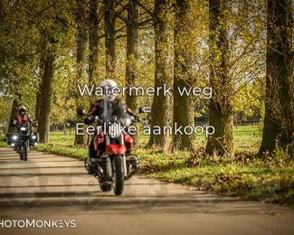 Herfstrit Moerzeke photo