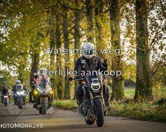 Balade d’automne Moerzeke photo