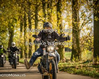 Herfstrit Moerzeke photo