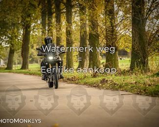 Herfstrit Moerzeke photo