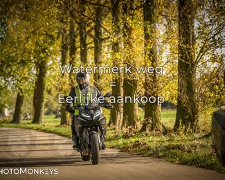 Herfstrit Moerzeke photo