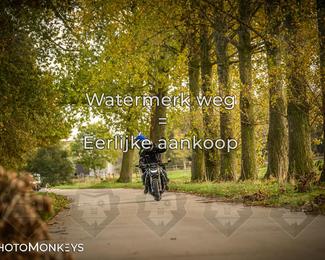 Herfstrit Moerzeke photo