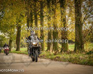 Herfstrit Moerzeke photo