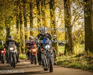 Herfstrit Moerzeke photo