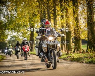 Herfstrit Moerzeke photo