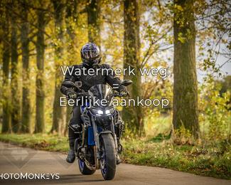 Herfstrit Moerzeke photo