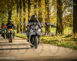 Herfstrit Moerzeke photo