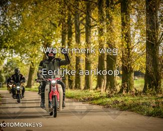 Herfstrit Moerzeke photo